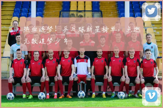 热血逐梦！乒乓球新星榜单，点燃无数追梦少年
