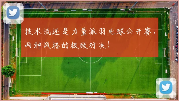 技术流还是力量派羽毛球公开赛，两种风格的极致对决！
